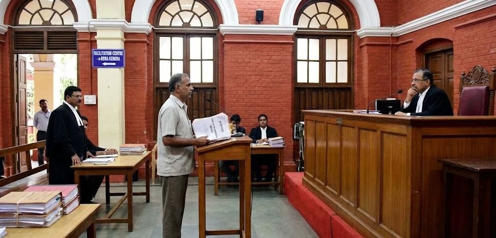 Represent yourself in court